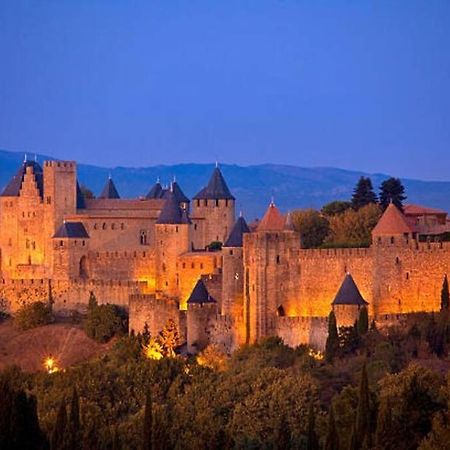 Chez Micka Apartment Carcassonne Bagian luar foto