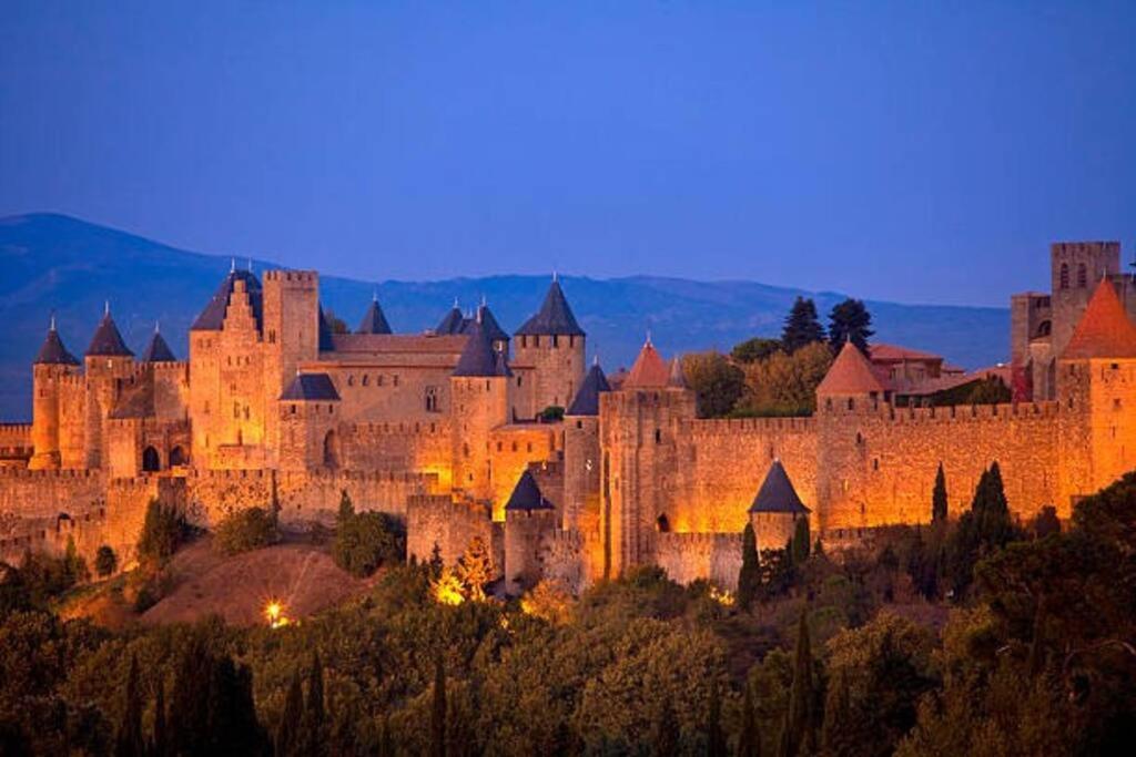 Chez Micka Apartment Carcassonne Bagian luar foto